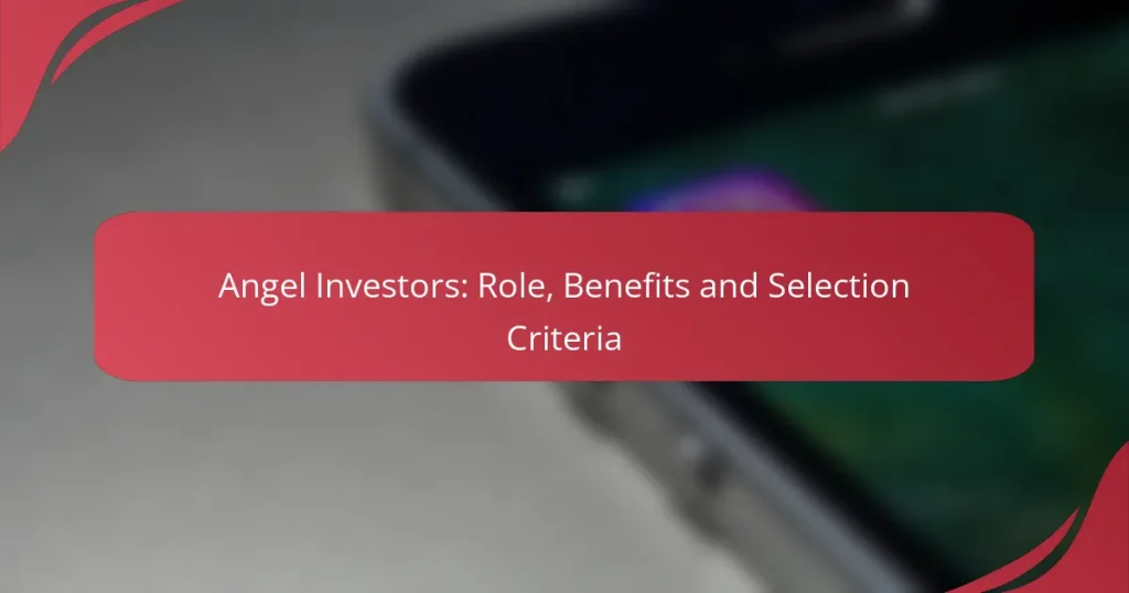 Angel Investors: Role, Benefits and Selection Criteria