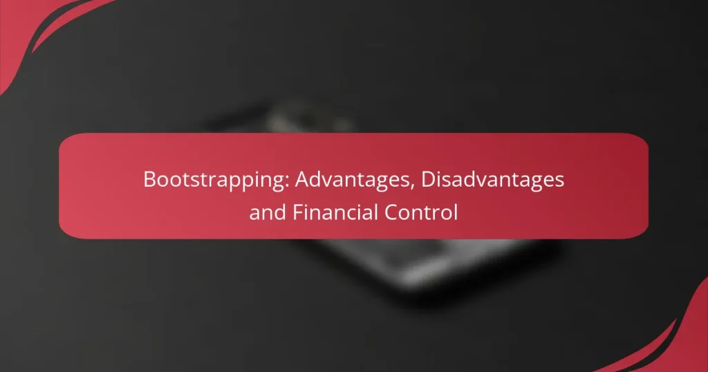 Bootstrapping: Advantages, Disadvantages and Financial Control
