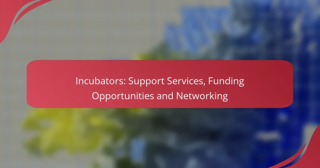 Incubators: Support Services, Funding Opportunities and Networking