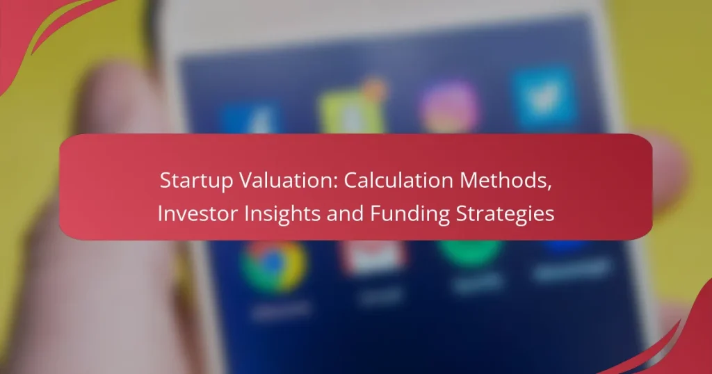 Startup Valuation: Calculation Methods, Investor Insights and Funding Strategies