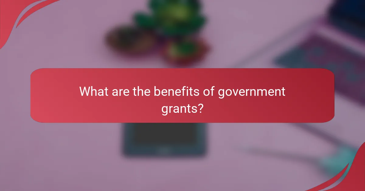 What are the benefits of government grants?