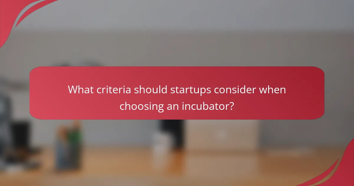 What criteria should startups consider when choosing an incubator?