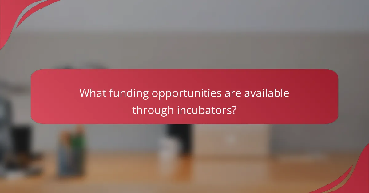 What funding opportunities are available through incubators?