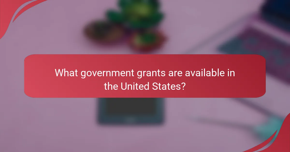 What government grants are available in the United States?