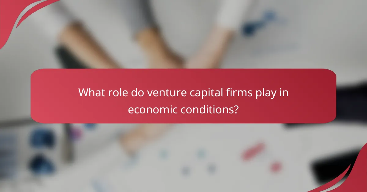 What role do venture capital firms play in economic conditions?