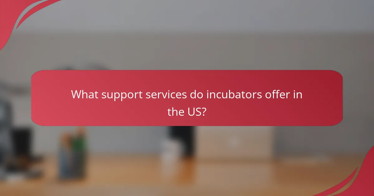 What support services do incubators offer in the US?